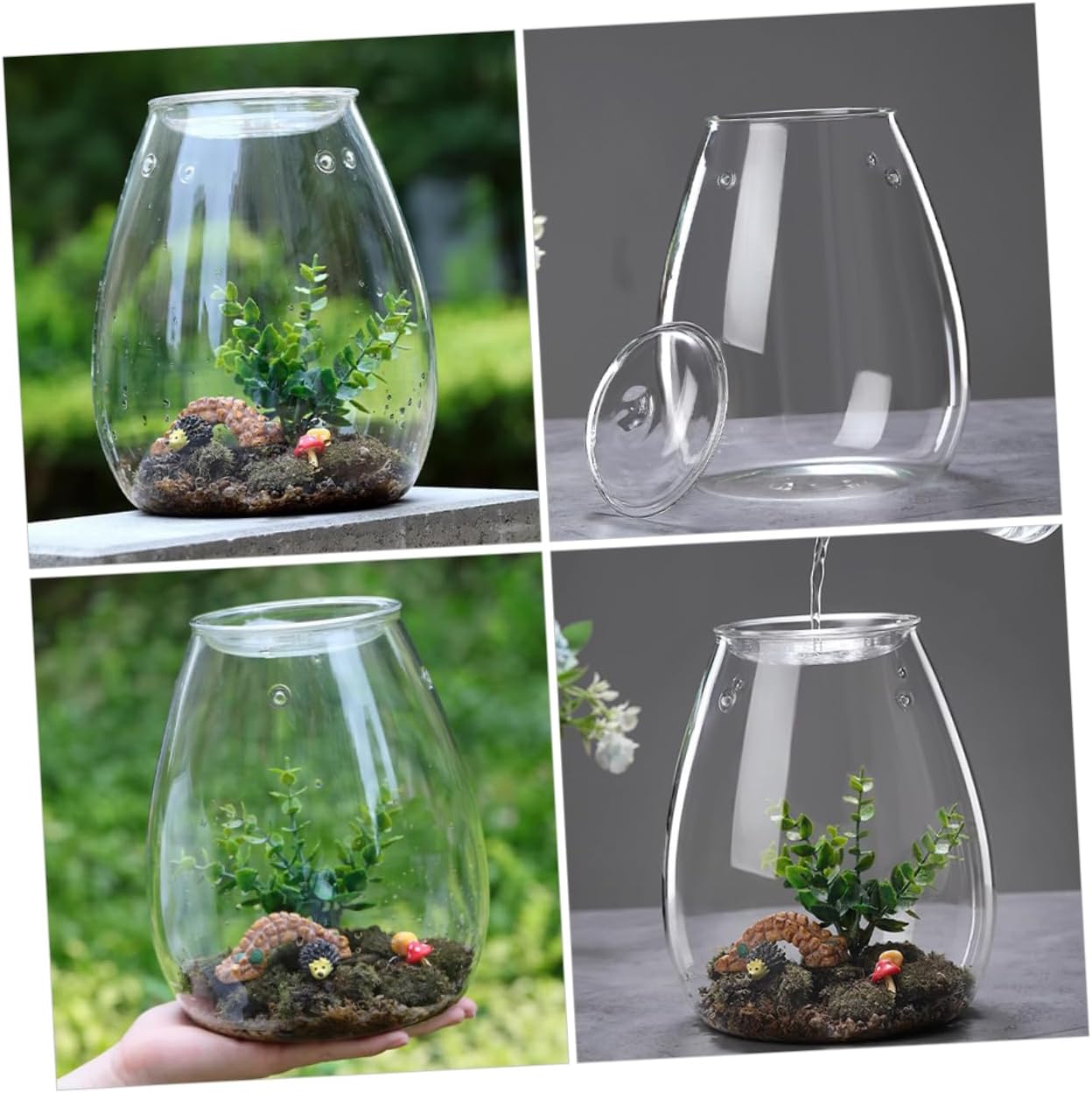 Eco Bottle Glass Cover for Hydroponics Vase Decorative Micro Landscape Planter