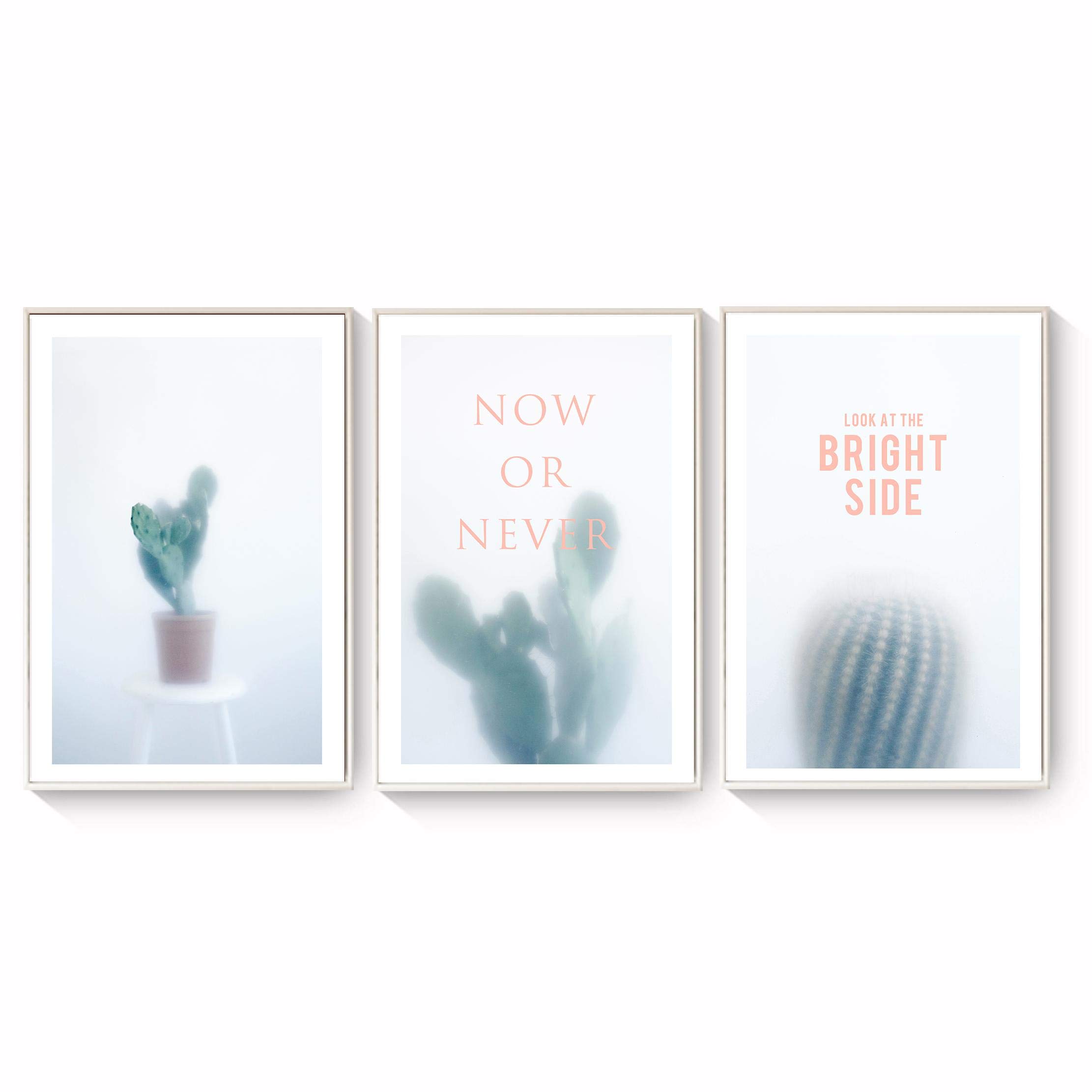 XIANGPEIFBH Kunst Aquarell nebligen Kaktus Pflanze Englisch inspirierende  Phrase Leinwand Malerei Druckbilder Kinderzimmer Wand Wohnkultur  30x40cmx3pcs Ungerahmt : Amazon.de: Kche, Haushalt & Wohnen