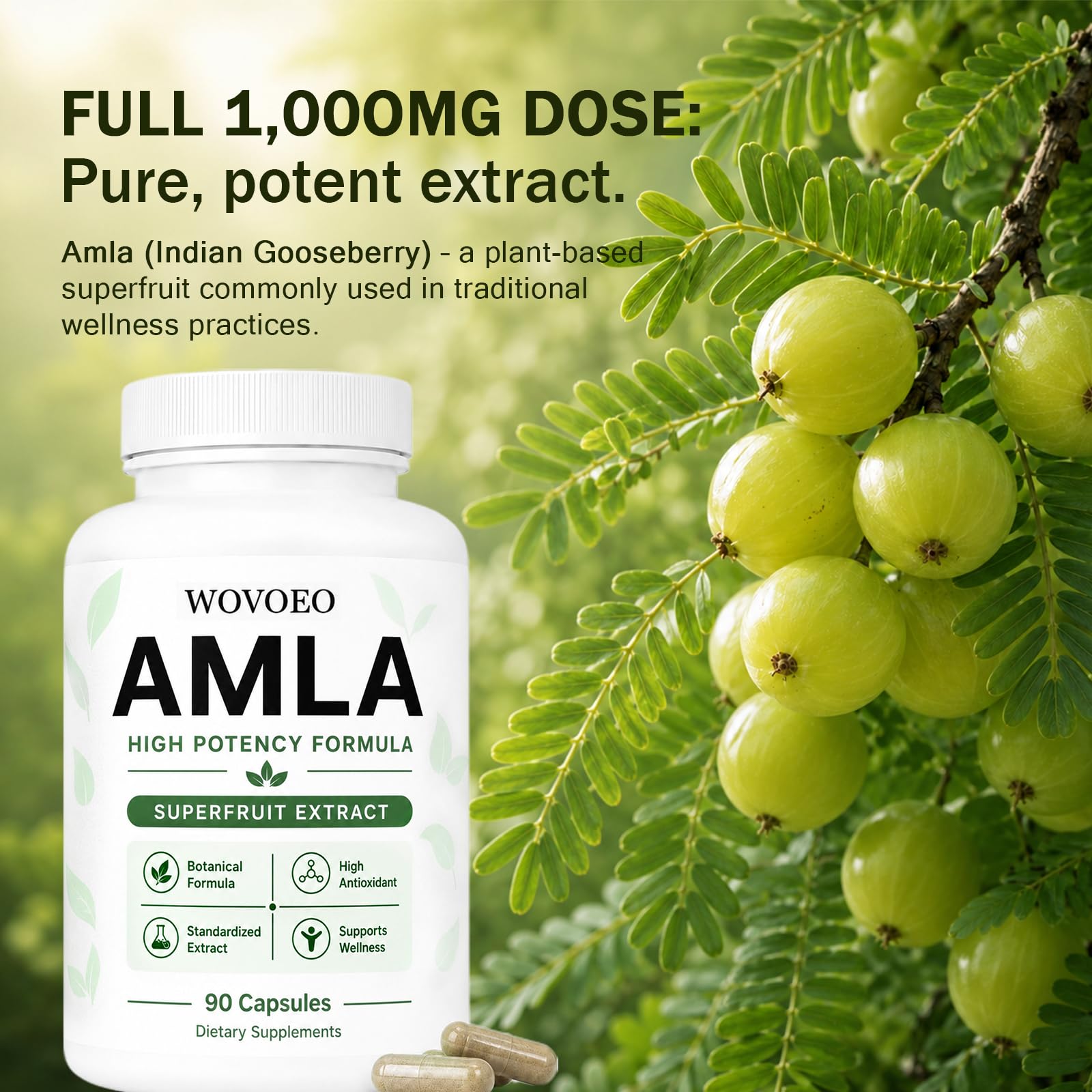 Amla Capsules, Organic Amla Extract Supplement, High Potency Amla Superfruit Extract with Indian Gooseberry, 90 Vegan Capsules (1) — Amazon image 2