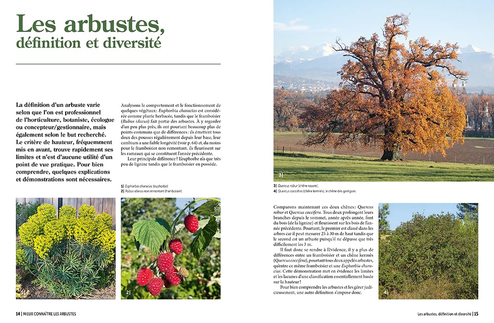 Encyclopédie Prieur - La taille raisonnée des arbustes