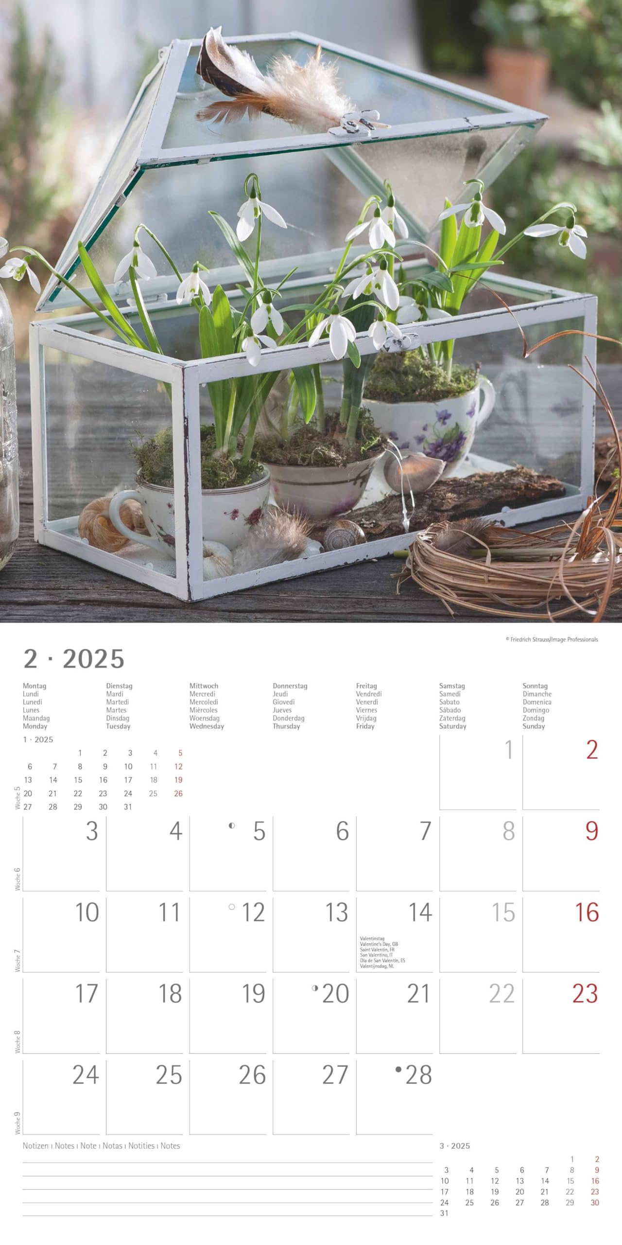Garden & Decoration 2025 CALENDARIO DA PARETE 30X30 CM