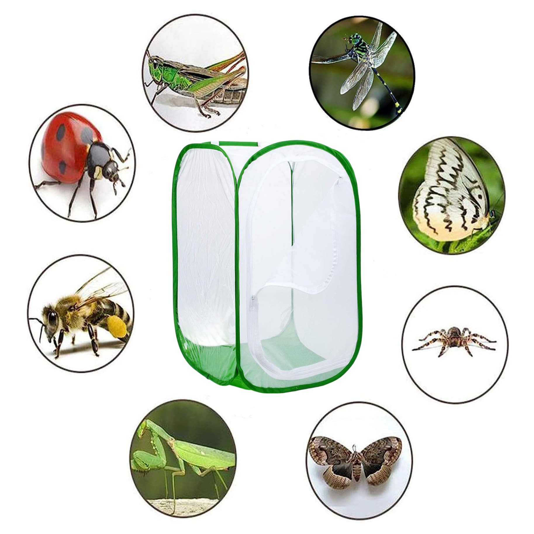 Gabbia per Farfalle con Cerniera, Recinzione a Rete Ultra fine, Habitat Pop-up per Piante