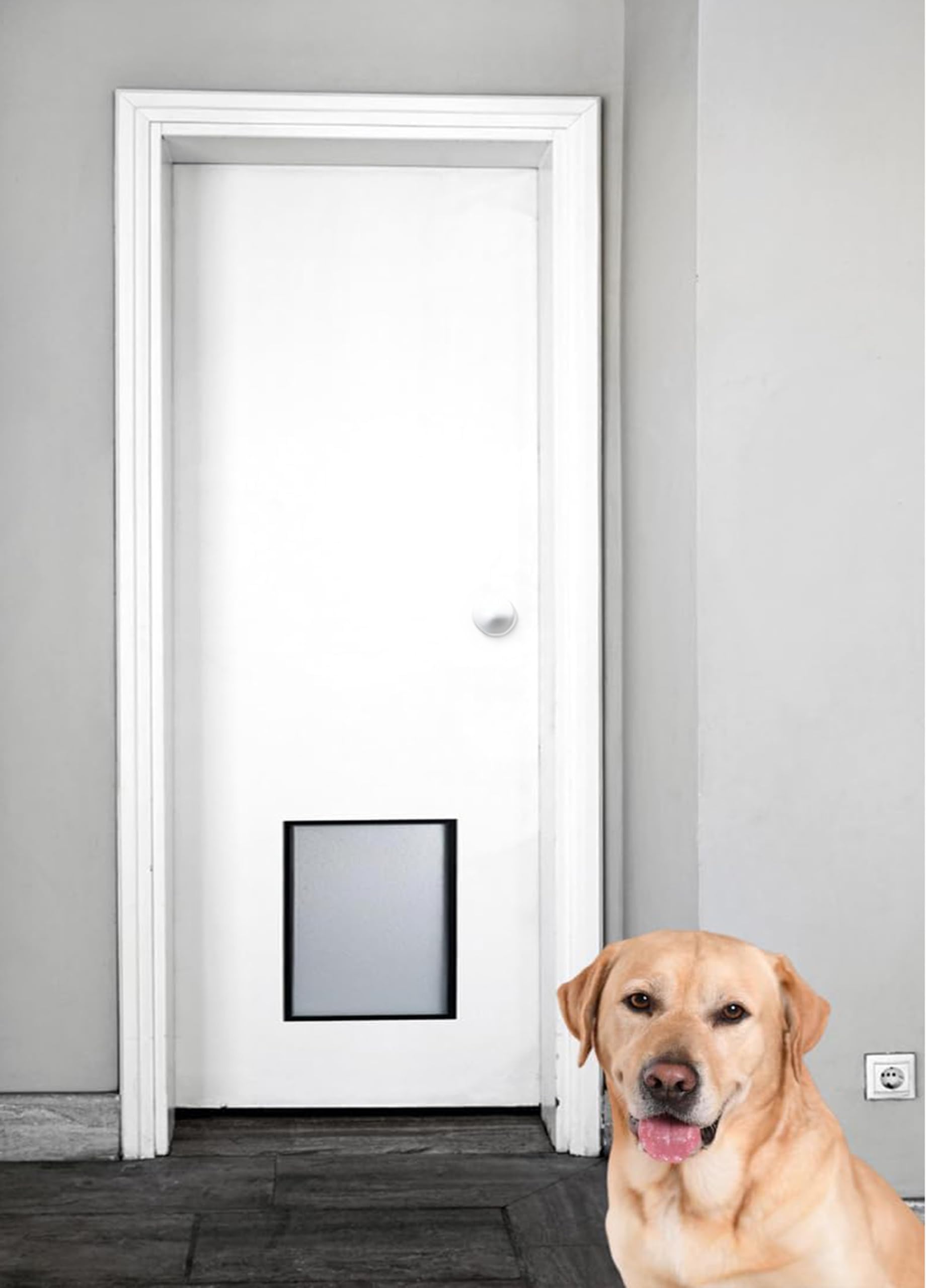 Photo 1 of Toibena Dog Door 32"x80" Full Door - White