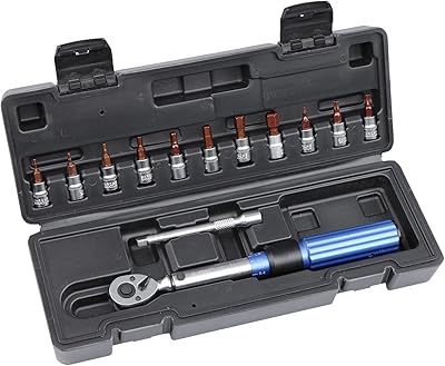 Drive Click Torque Wrench Set 1/4in - 2-20Nm Bit Bicycle Tool Set,Jikkolumlukka