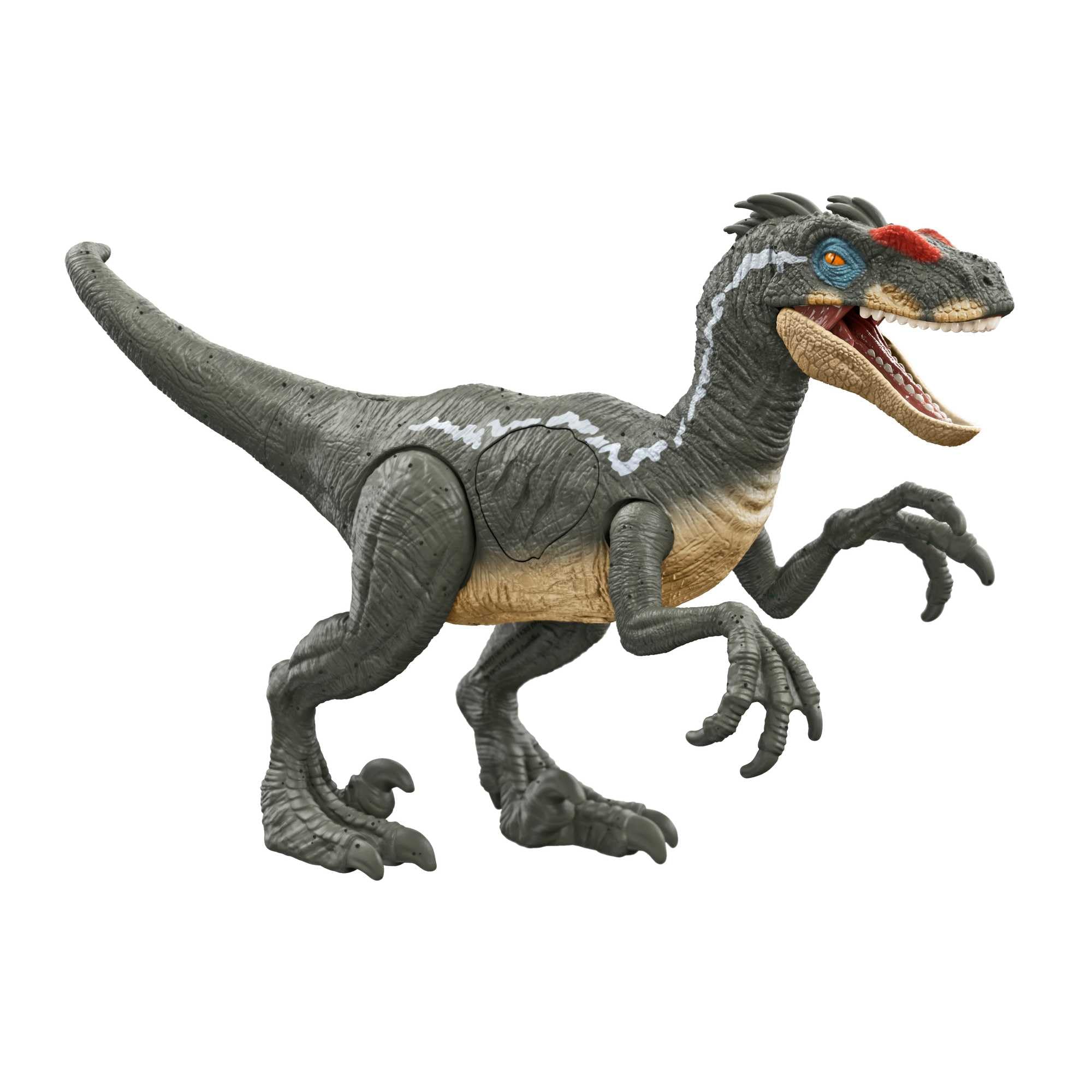 Jurassic World Raptor Dinosaurio de juguete articulado, regalo +4 años (Mattel HNC11)
