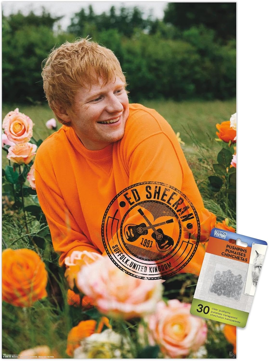 Trends International Ed Sheeran – Rose Field Wall Poster, 14.72" x 22.37", Premium Poster & Push Pin Bundle