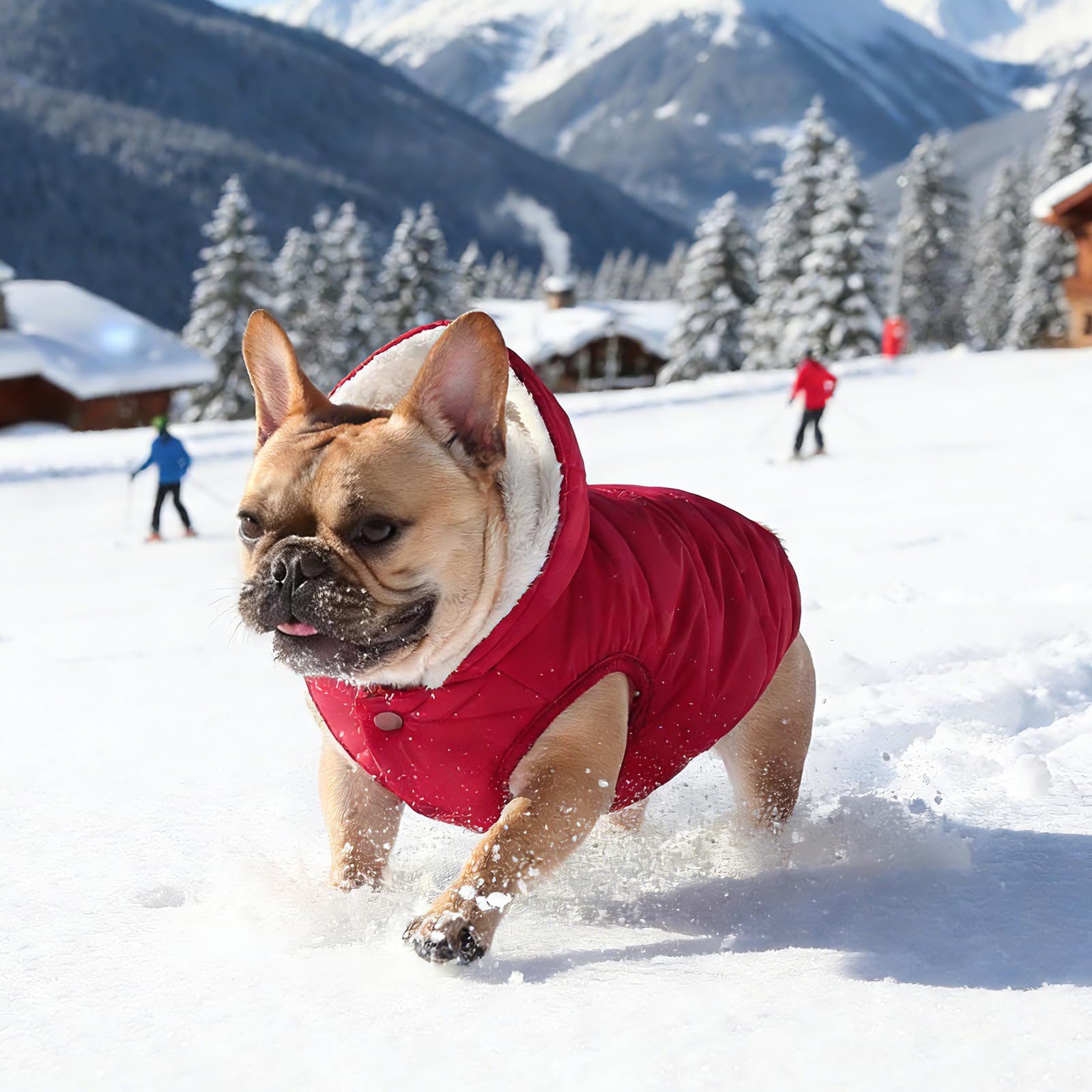 Sudadera con capucha de forro polar, abrigo impermeable resistente al viento, chaqueta cálida de invierno, chaleco de ropa para mascotas para clima frío, chaleco para perros pequeños, medianos y