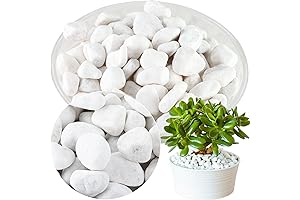 11 Lbs White Gravel for Landscaping: Elevate Your Outdoor Ambiance