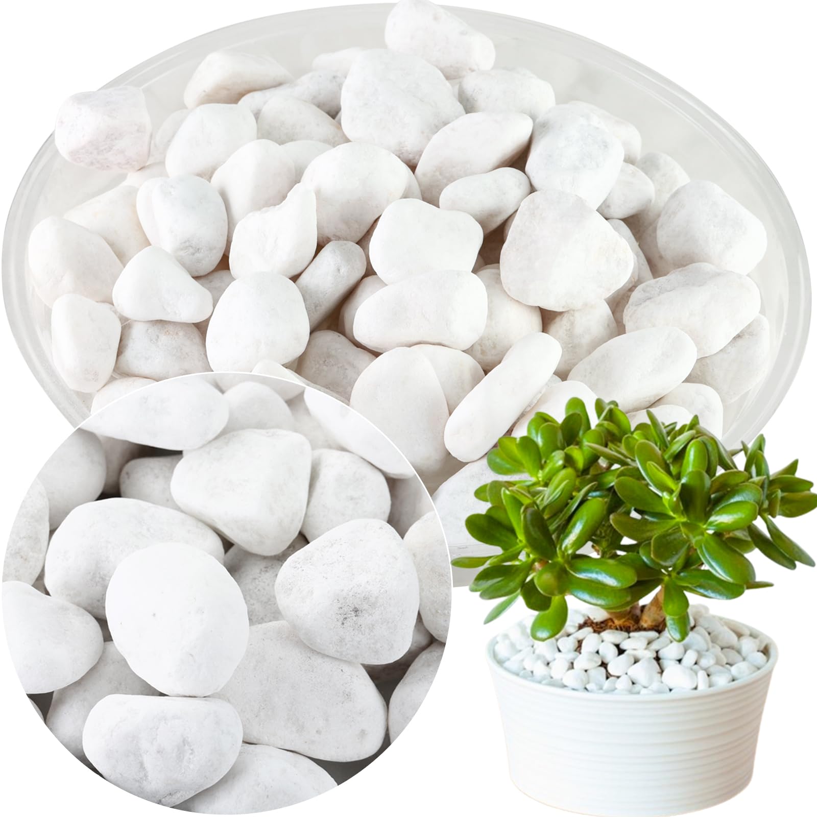 LDXDRU Galets Blancs De 4 Kg Pour Pots De Fleurs, Pierres Naturelles De