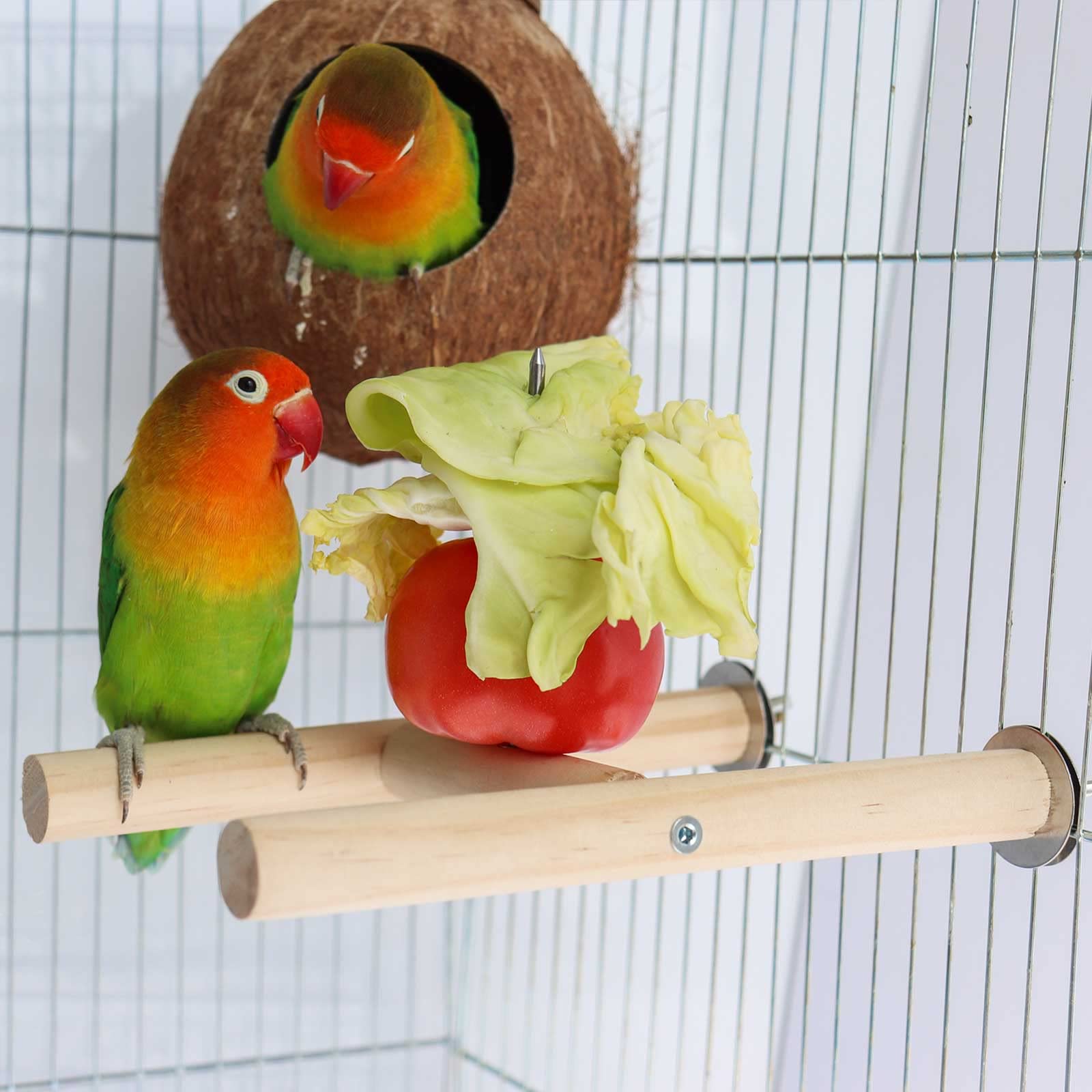 Natural Wooden Parrot Bird Perch Stand, Natural Wooden Bird Cage Stand
