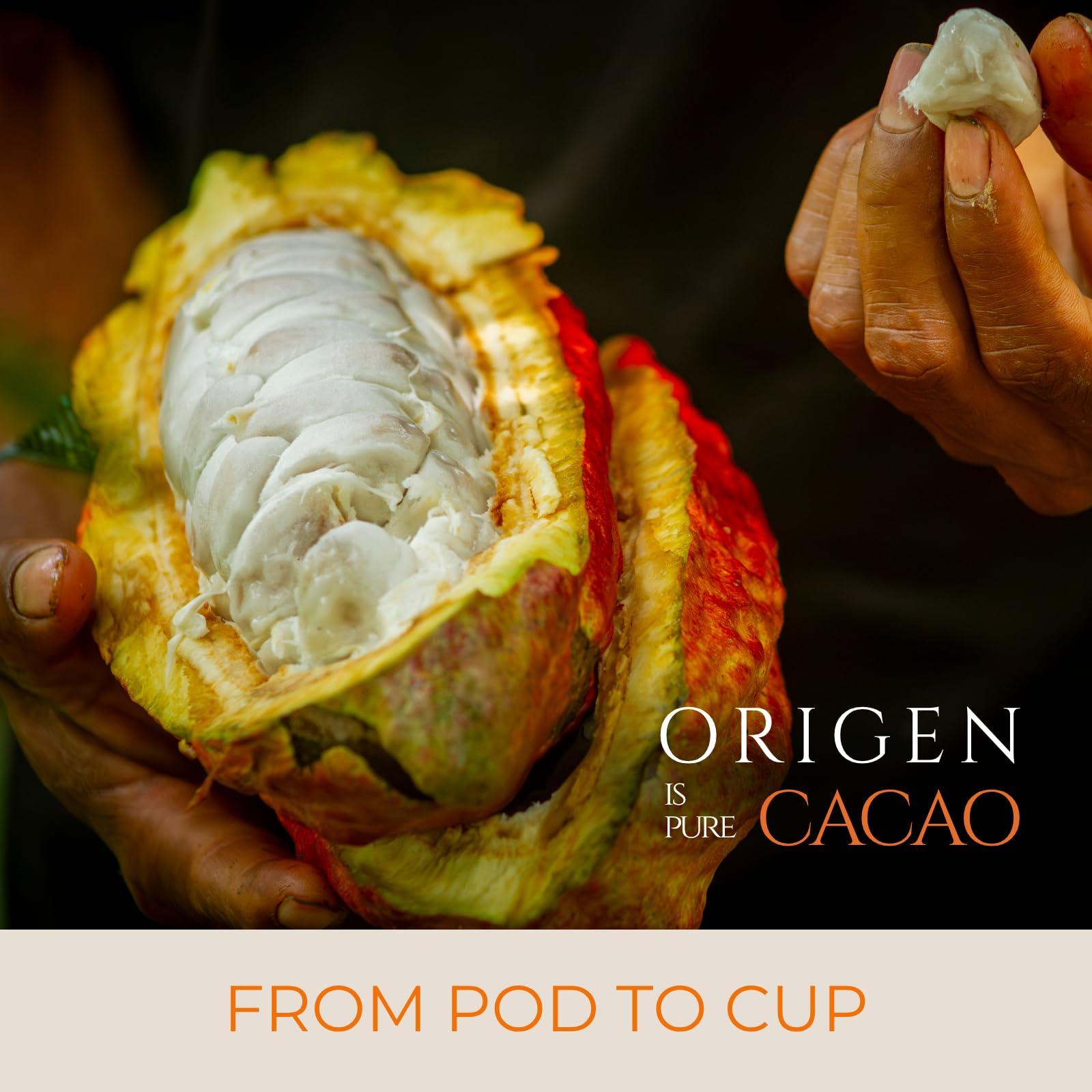 Origene Cacao Cerimoniale Polvere