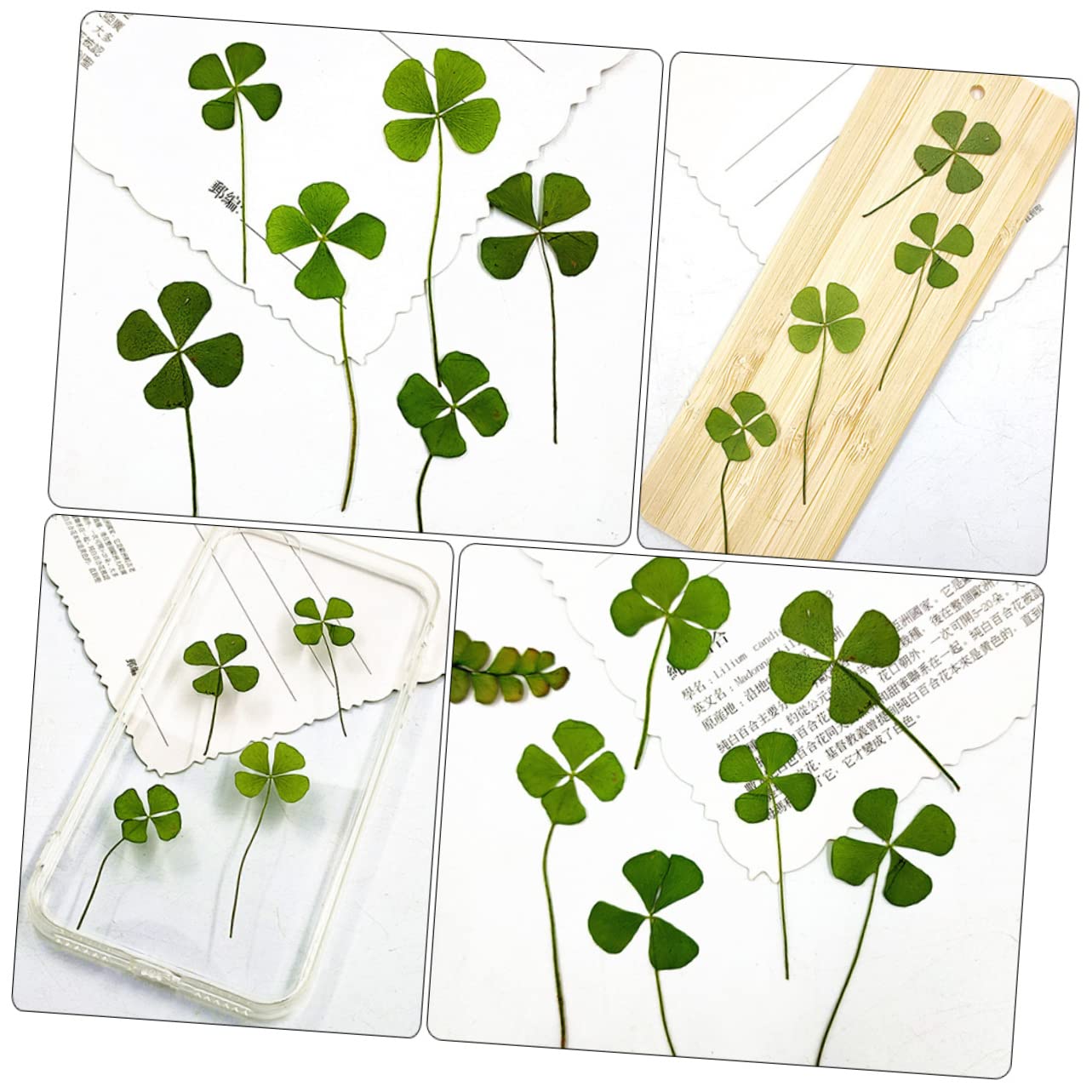 24 Stuks2-3,5 Cmnatuurlijke Geperste Gedroogde Bloembladeren Klaverklaverplant Met Vier Bladeren Klaverplant Gebruikt Voor Doe Het Zelfhars Sieraden Maken Van Kunst