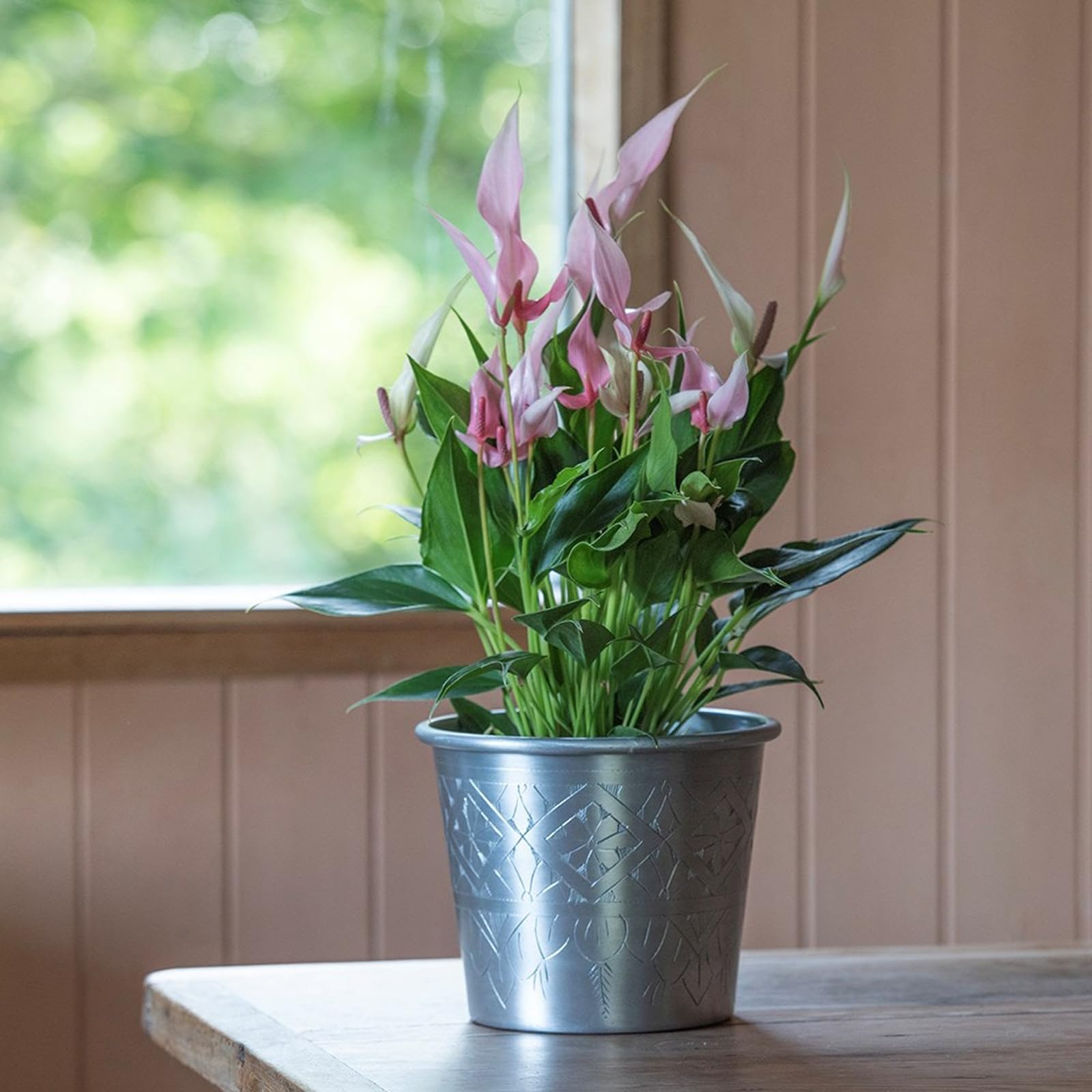 Crocus Silver Collection 16Cm Metal Aluminium Planter Hand Etched Indoor Outdoor Use Plant Pot Vintage Style