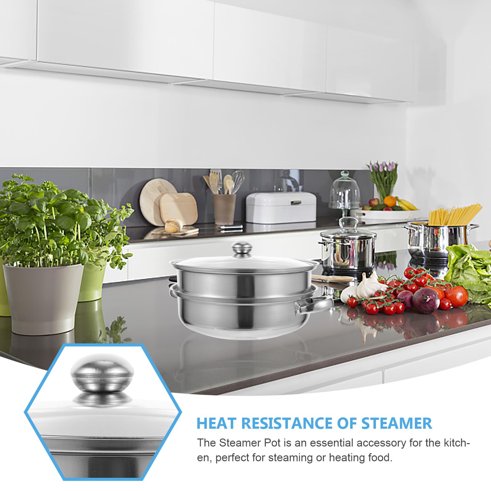 Olla Vaporera de Acero Inoxidable Doble Capa para Cocina Diseño de Asa, Cocedor de Verduras al Vapor Multifunción Adecuado para Uso en Cocina