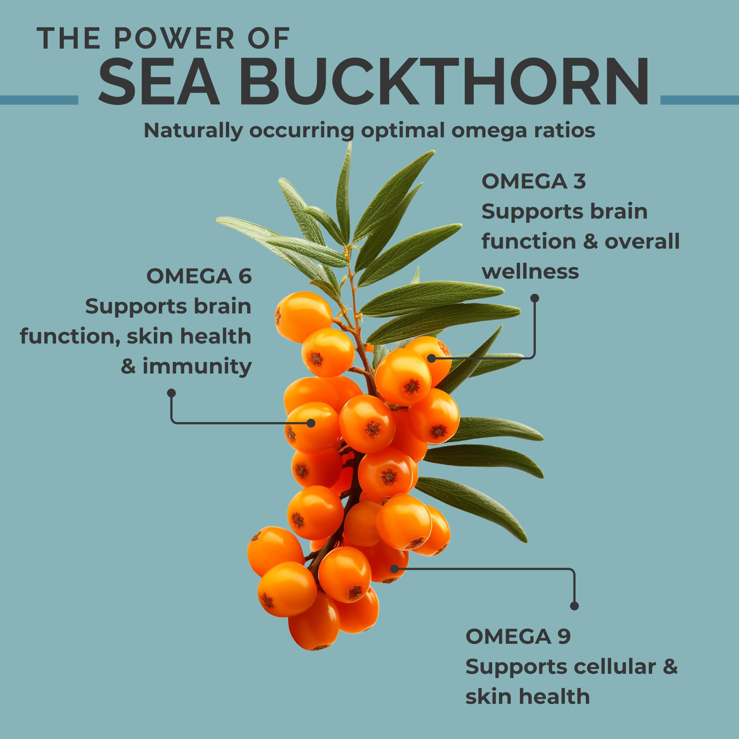 SeabuckWonders Organic Sea Buckthorn Seed Oil, 120 Softgels — Amazon image 3