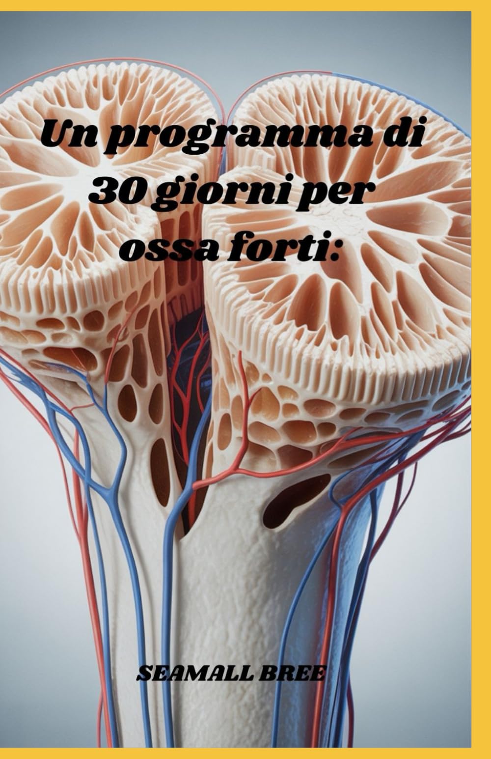 Un programma di 30 giorni per ossa forti:
