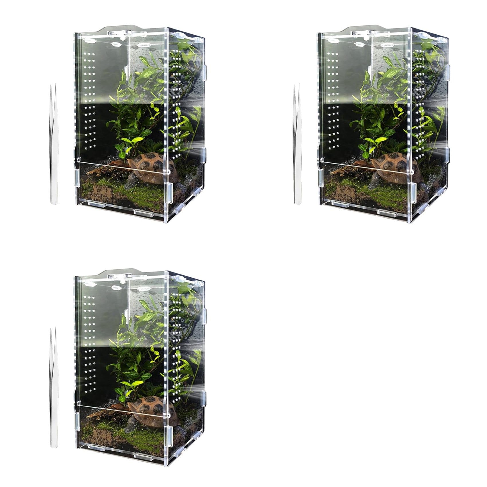 Enclos pour araignées sauteuses de qualité supérieure : terrarium acrylique 3X
