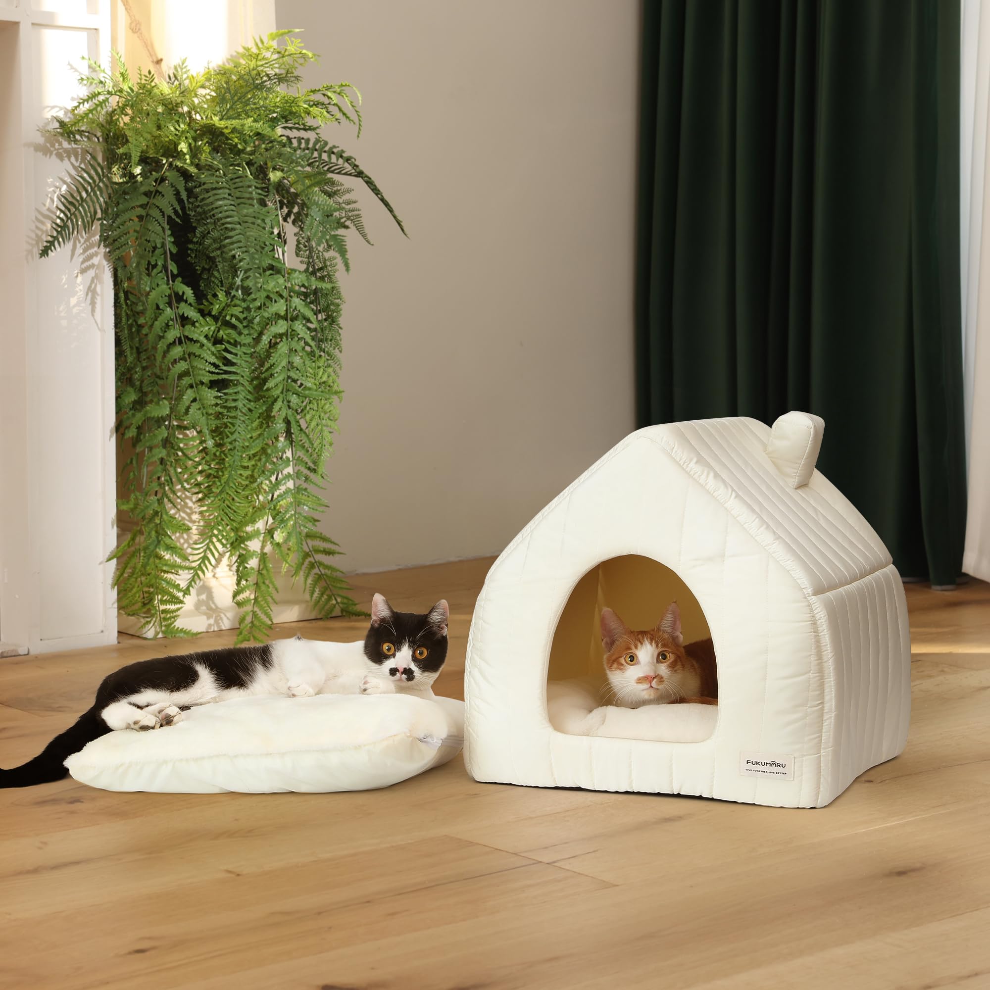 FUKUMARU Cuccia per Gatti da Interno, Casetta a Tenda Morbida Termica Impermeabile, Cuscino Rimovibile e Lavabile, Base Antiscivolo, Cuccia Pieghevole, Leggera e Facile da Pulire.