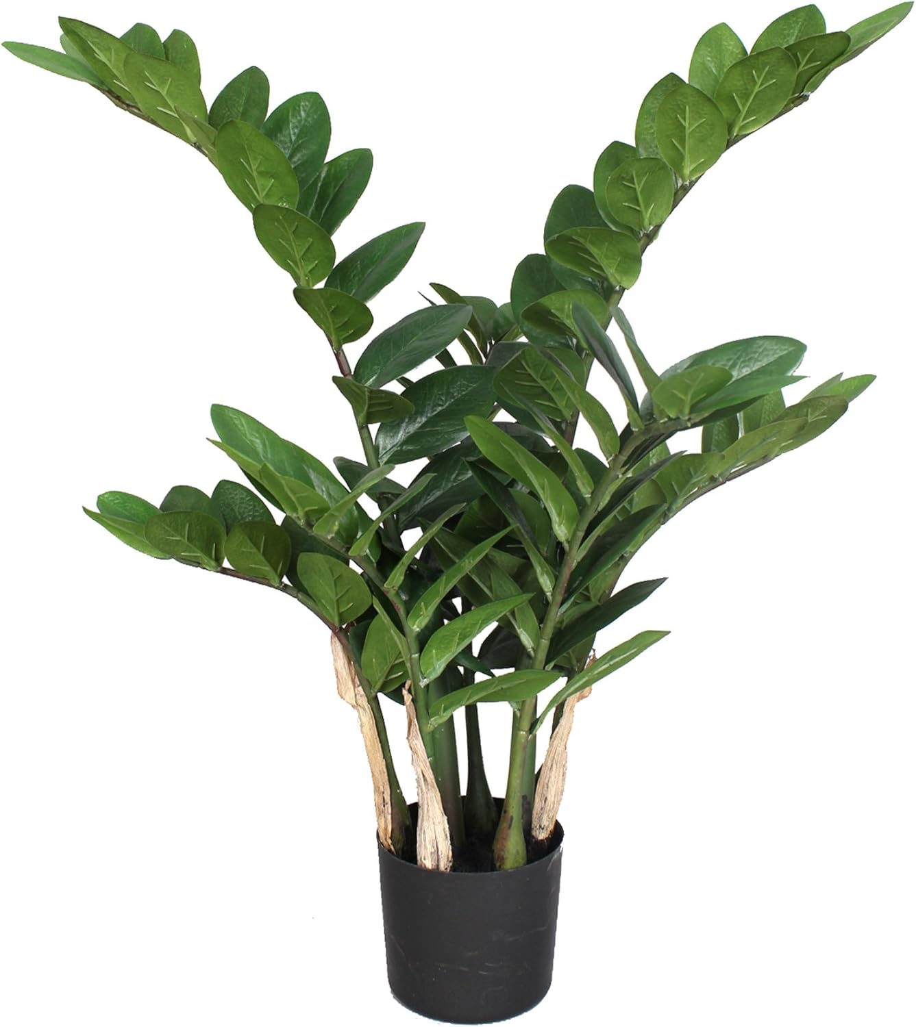 Künstliche Pflanze Zamifolia groß 70 cm Glücksfeder 191660050