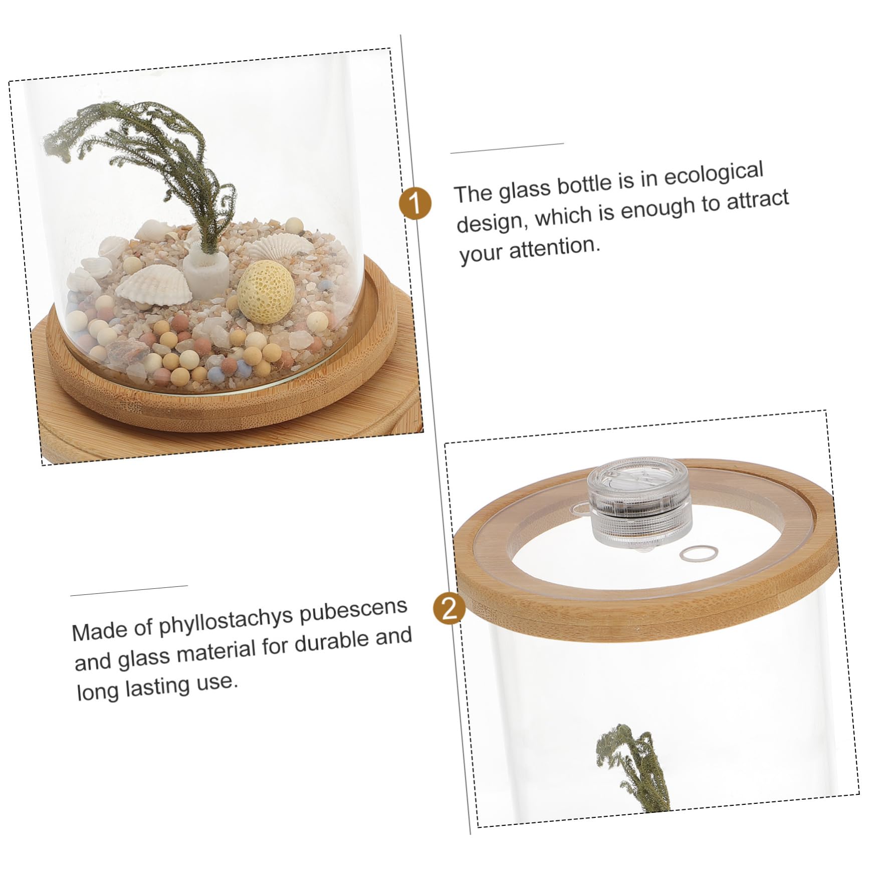 Ecosphere With Shrimp Mason Jar Aquarium Craft Crafts By Amanda