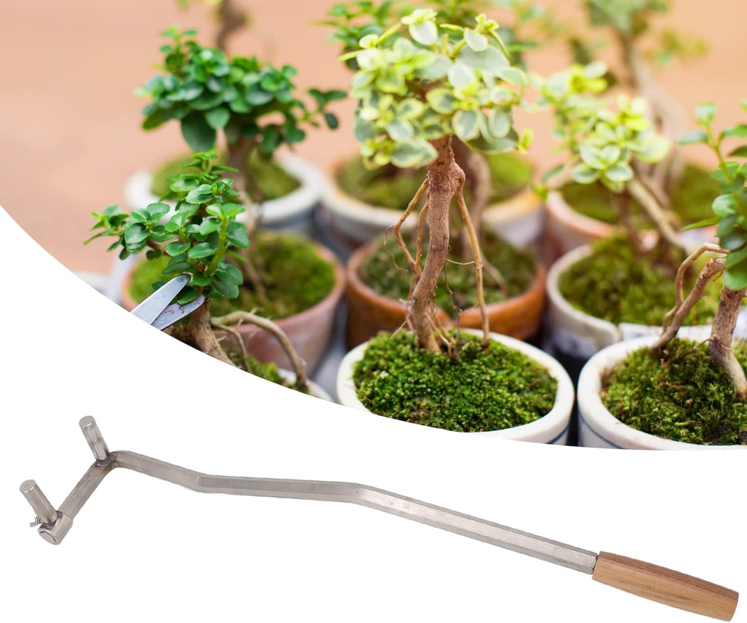 TZTTGS Bonsai-Bender-Werkzeug, Bonsai-Bender aus Edelstahl, professionelle  Richtungseinstellung fr das Biegen im Innenhof(M18) : Amazon.de: Sonstiges
