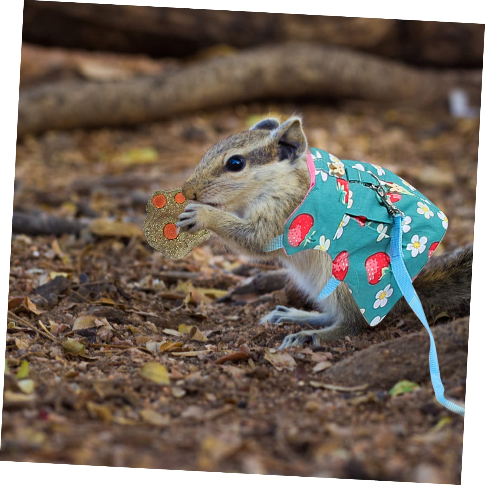 Ipetboom 6sets Pettorine Per Conigli e Cincillà Con Guinzaglio Abbigliamento Per Animali Domestici Stile Gilet Con Design Ergonomico Per Uscite e Foto Stroberry Pineapple