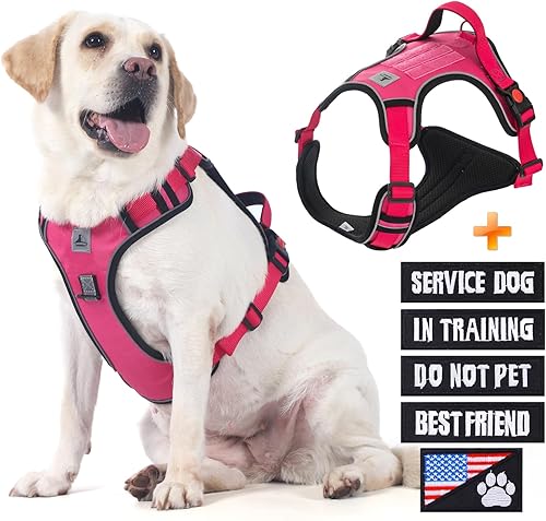 Miniatura 2 de TomteNisse Arnés para perro de servicio, arnés para mascotas sin tirones con 2 clips para correa, chaleco reflectante ajustable para perro sin