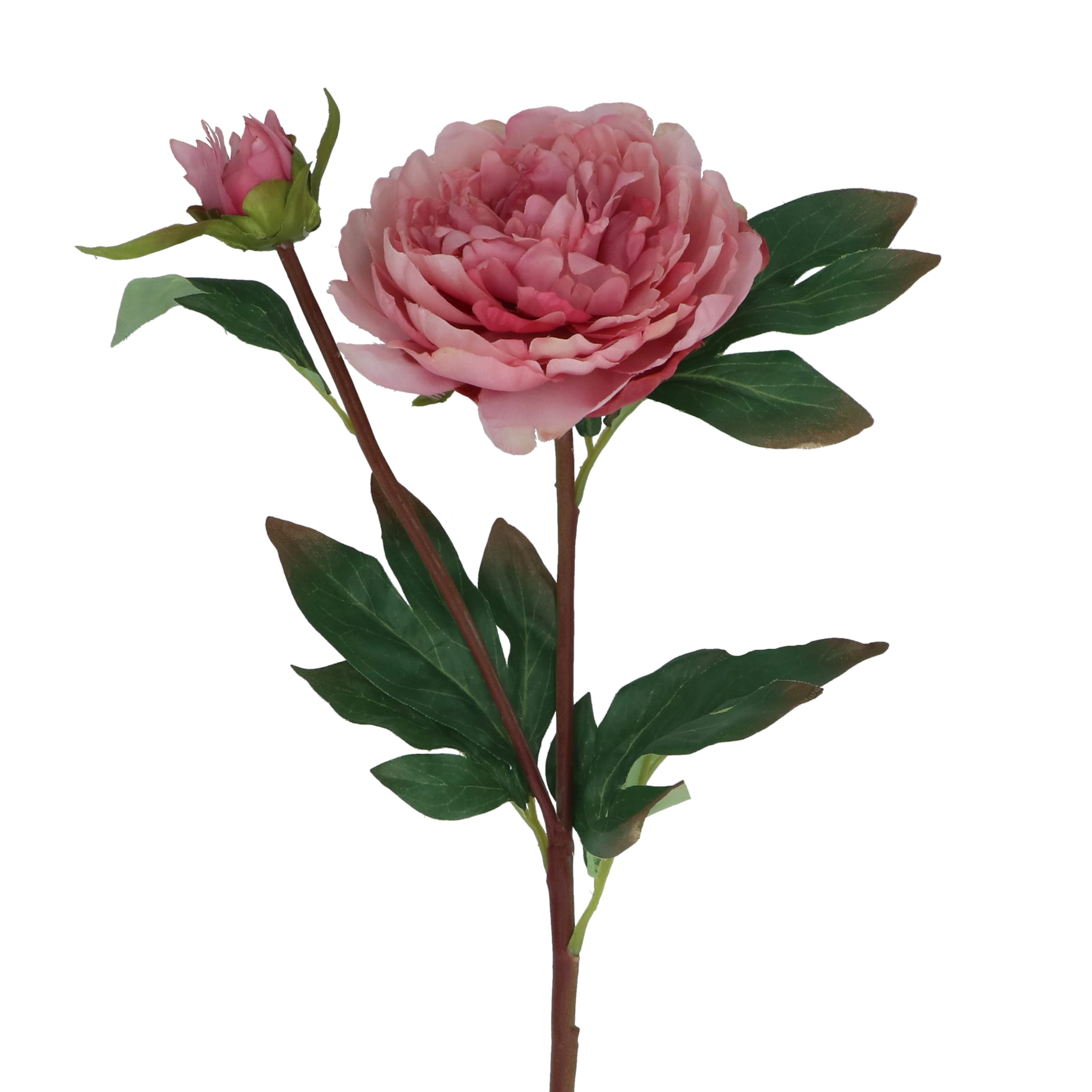 Gisela Graham Artificial Peony Stem, Dusky Pink, 57cm, Polyester