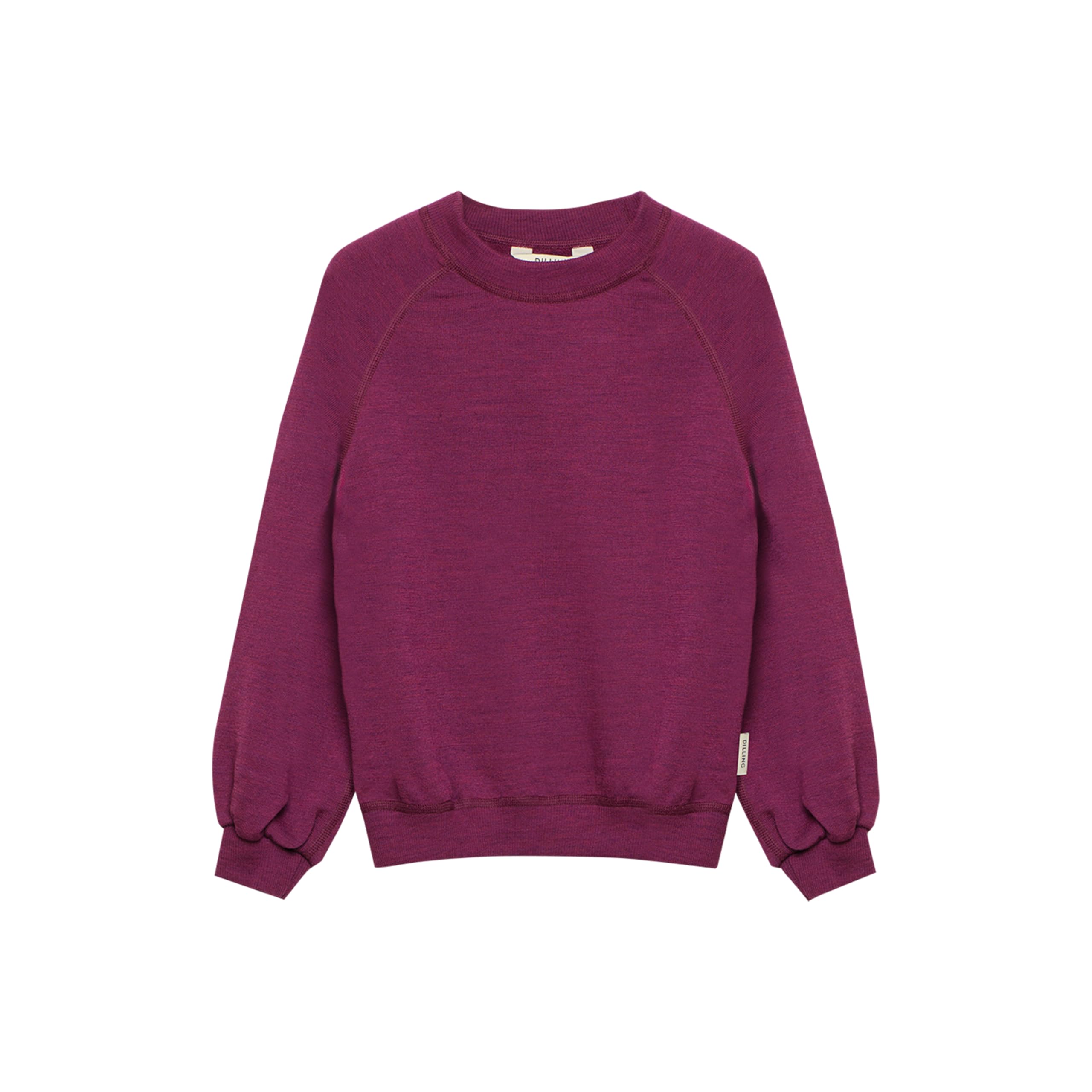 DILLING Sweatshirt aus natürlicher Merinowolle für Kinder