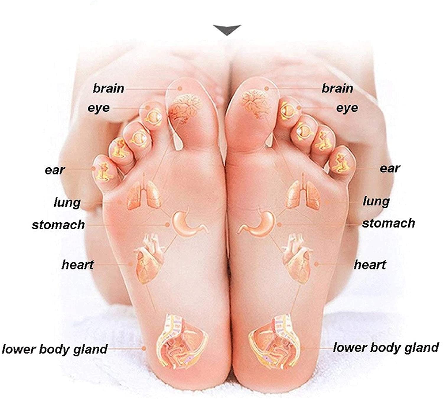 Drewniane wiadro do kąpieli stóp Drewniana umywalka do stóp Wanna do stóp Kashiwagi Wanienka do stóp dla dorosłych Umywalka do pedicure domowego Wiadro do masażu punktu akupunktury Drewniane