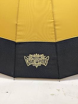 阪神タイガース　プレート　ガラスパネル 情報更新！】阪神タイガース JERA セントラル・リーグ 2025 優勝