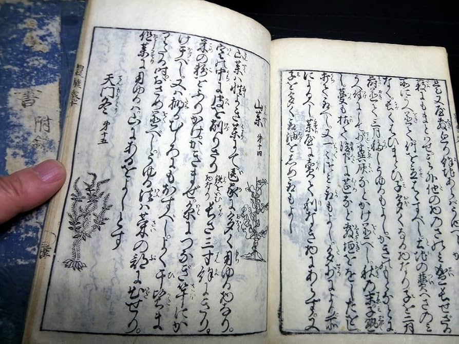 Amazon.co.jp: Y24和本江戸享保6年（1721）農書本草学「農業全書