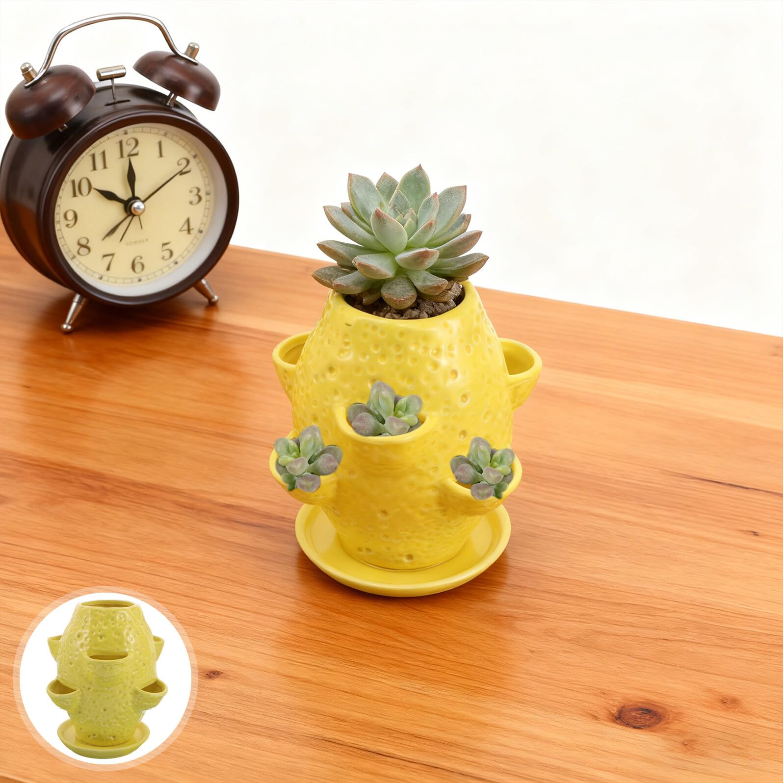 Pojemnik na rośliny kwiatowe okrągłe doniczki ogrodowe doniczka w stylu retro Orchid Nursery Sadza doniczka do storczyków doniczki szkółkarskie z otworami Yellow