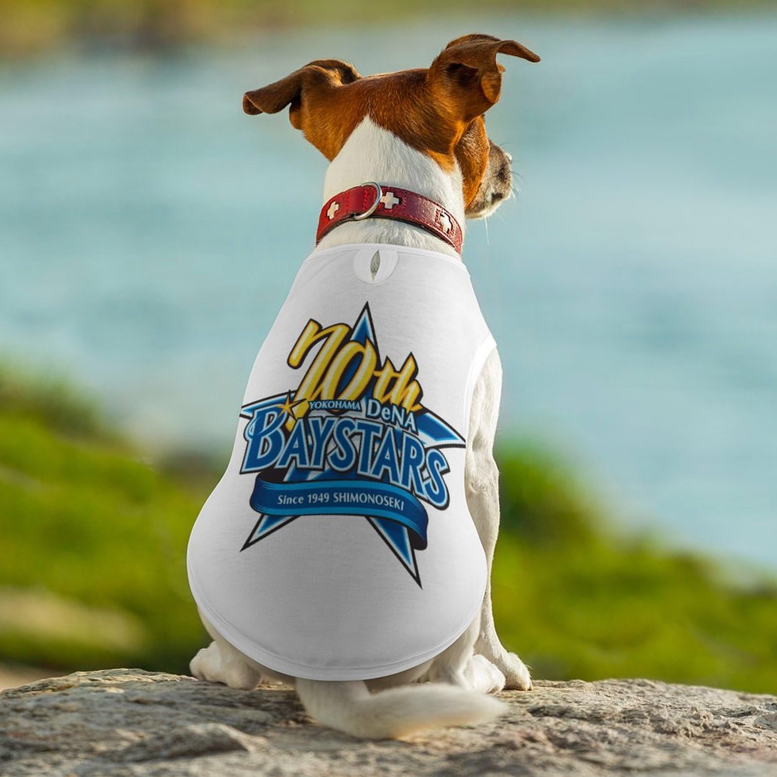 Amazon.co.jp: ペット服 横浜ベイスターズ (2) 犬服 ペット