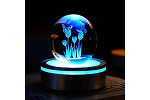 YU FENG 3D Tulip Night Light