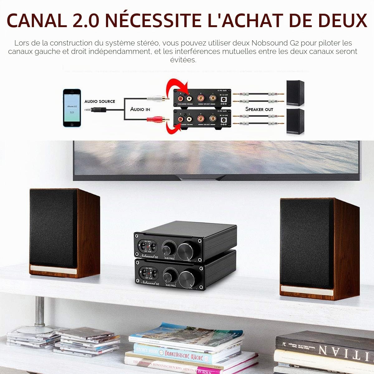 Nobsound G2 Amplificateur de puissance de basses 100 W avec ampli mono, ampli de basses domestique, ampli mono pleine fréquence, ampli ponté sortie PBTL/BTL, contrôle de gain, avec alimentation