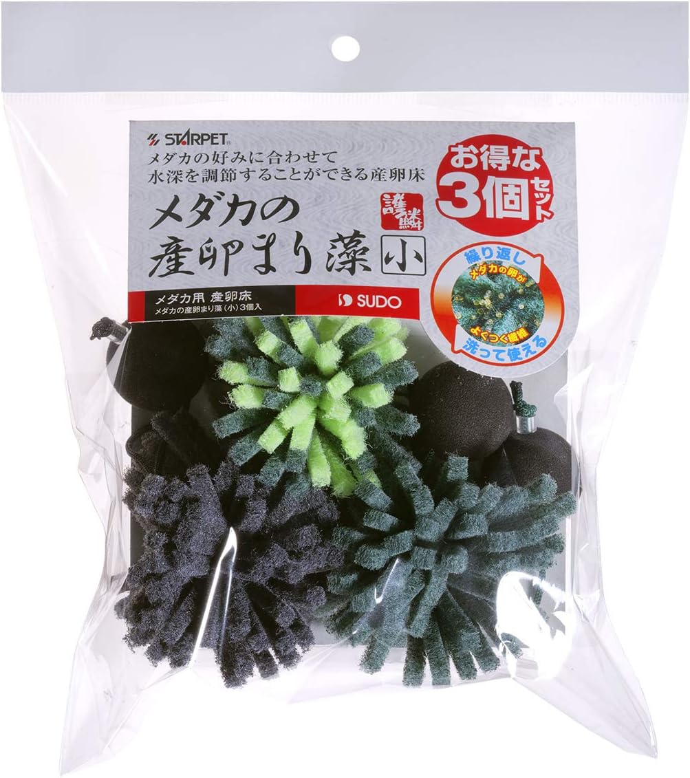 Amazon メダカの産卵まり藻 小 3個入 スドー 飼育セット 通販 Amazon メダカの産卵まり藻 小 3個入 スドー 飼育セット 通販