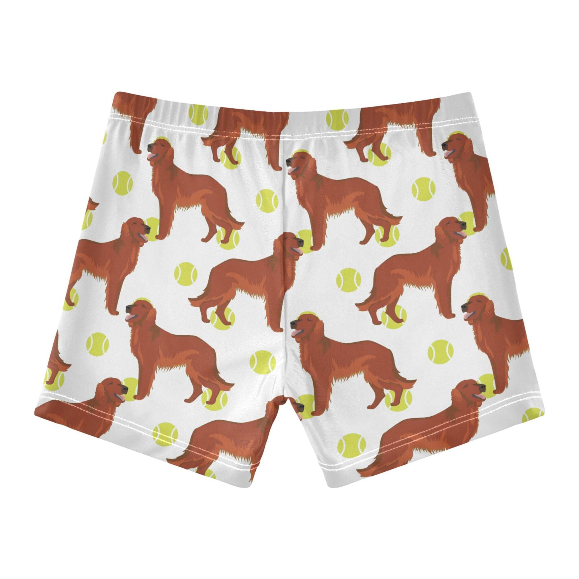 Golden Retriever Dog Baseball Pattern Boys Swim Trunks Kid's Swim Pants Swim Shorts Bathing Suit Swimsuit Swimwear Multicolor