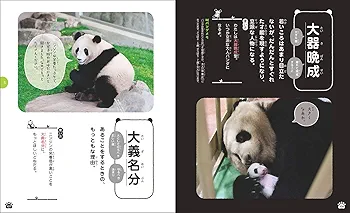 パンダ おまとめ4点 Mini-Q 1/28 ラジコン