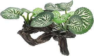 COLLBATH Enfeites De Aquário Recipientes De Vidro Plantas Artificiais Decorações De Peixes Para Tanque Terrário Troncos Ramos De Répteis Artificiais Plantas De Tanque De Répteis Resina De