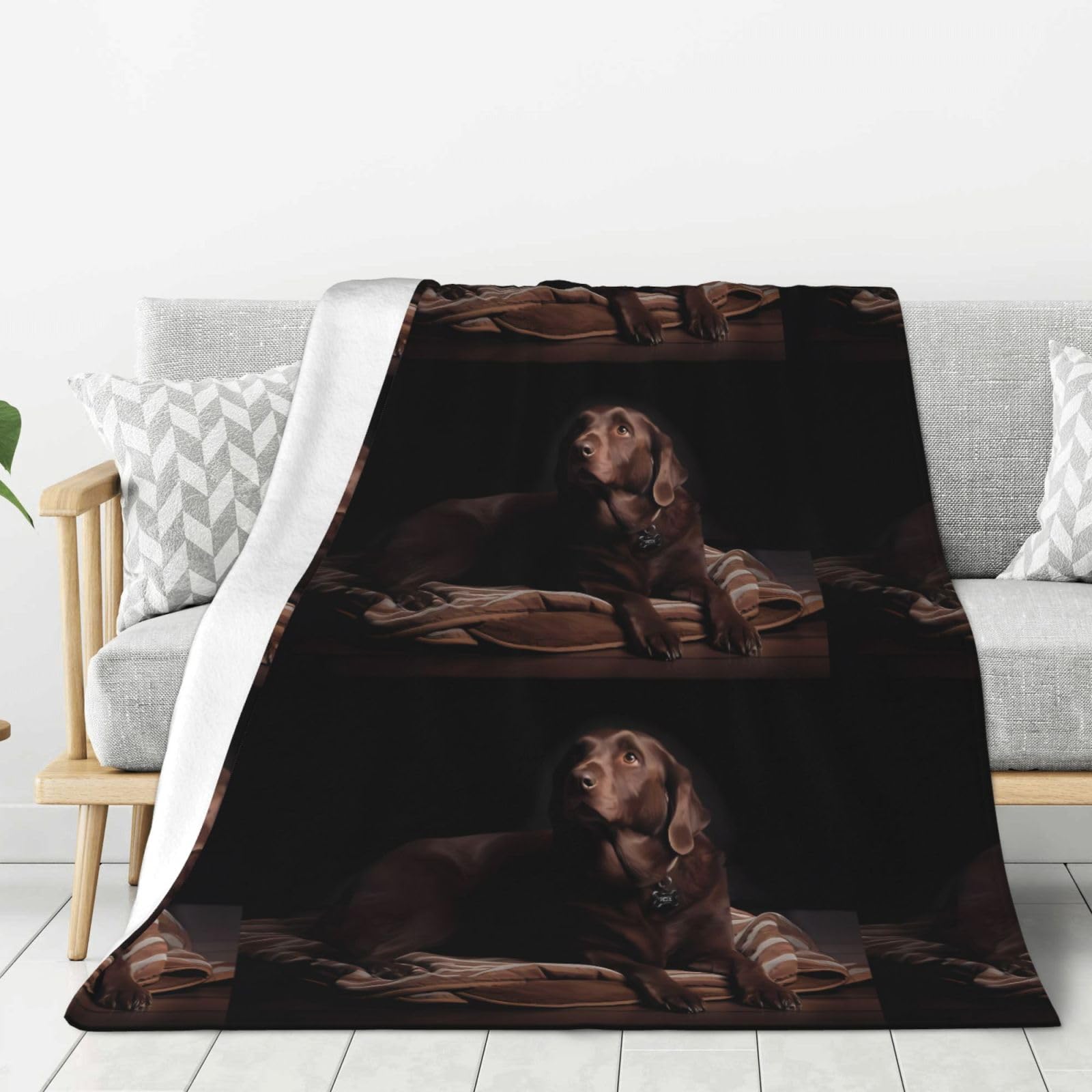Couverture labrador marron jeté de canapé chaud pour les soirées