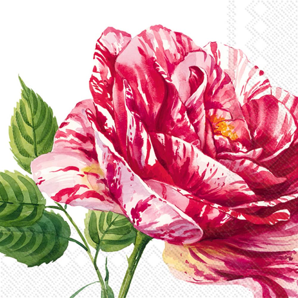 Boston International IHR Papierservietten – 3-lagig, 20 Stück, 16,5x16,5 Cm, Charlotte White Design