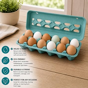 Vented Paper Pulp Egg Cartons - Teal (12)