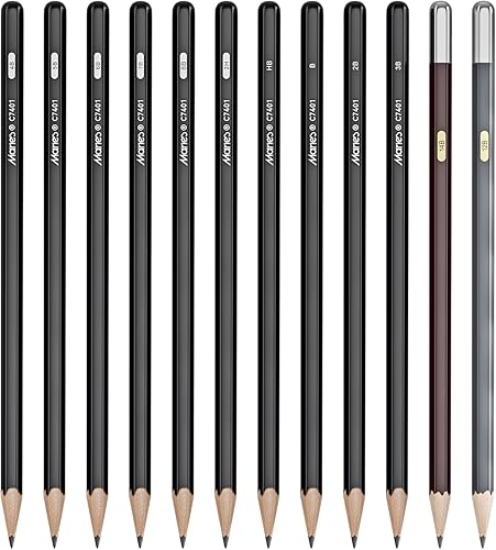 Juego de lápices de carbón profesionales de dibujo, 13 piezas (2H, HB, B, 2B, 3B, 4B, 5B, 6B, 7B, 8B, 12B, 14B) lápices de carbón para dibujar,