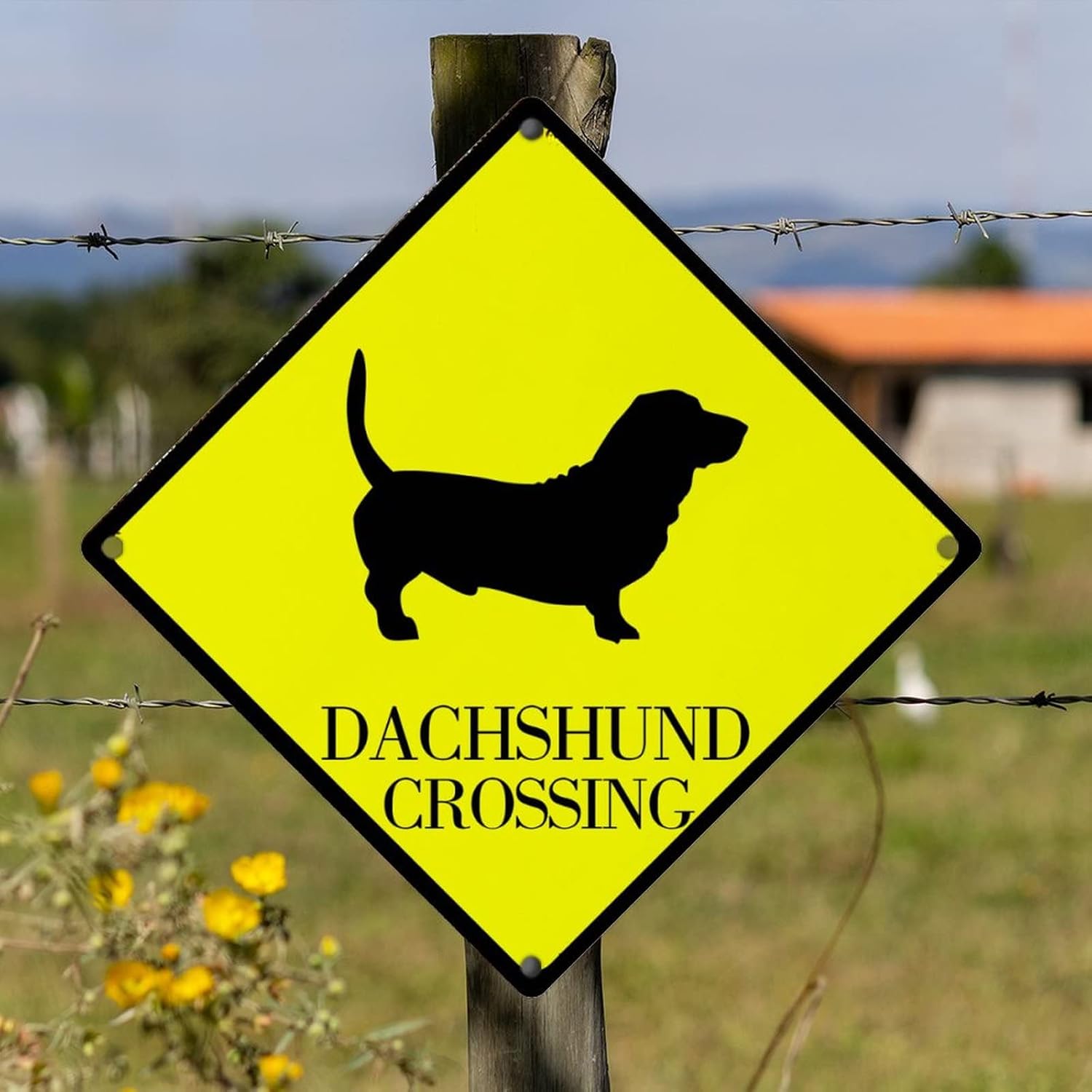 Dachshund Crossing Aluminum Sign Caution Dachshund Dog Metal Plaque Dachshund Crossing Rustic Vintage Porch Signs Yellow Diamond Shape Sign 15x15in Dog Mom Gift Metal Sign for Street Road Garden