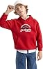 DeFacto Boys' Regular Fit Hooded Sweatshirt