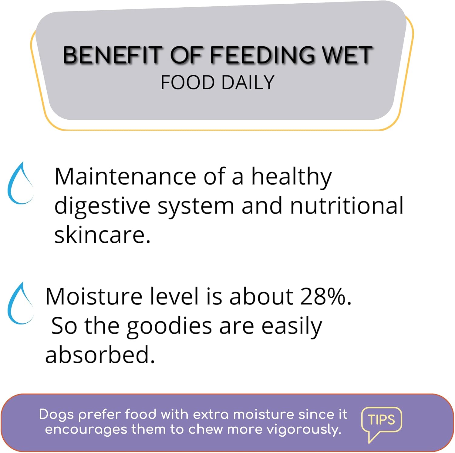 15 Trays Wet Dog Food 3.5 OZ Filet Mignon Flavor + Gift Bone