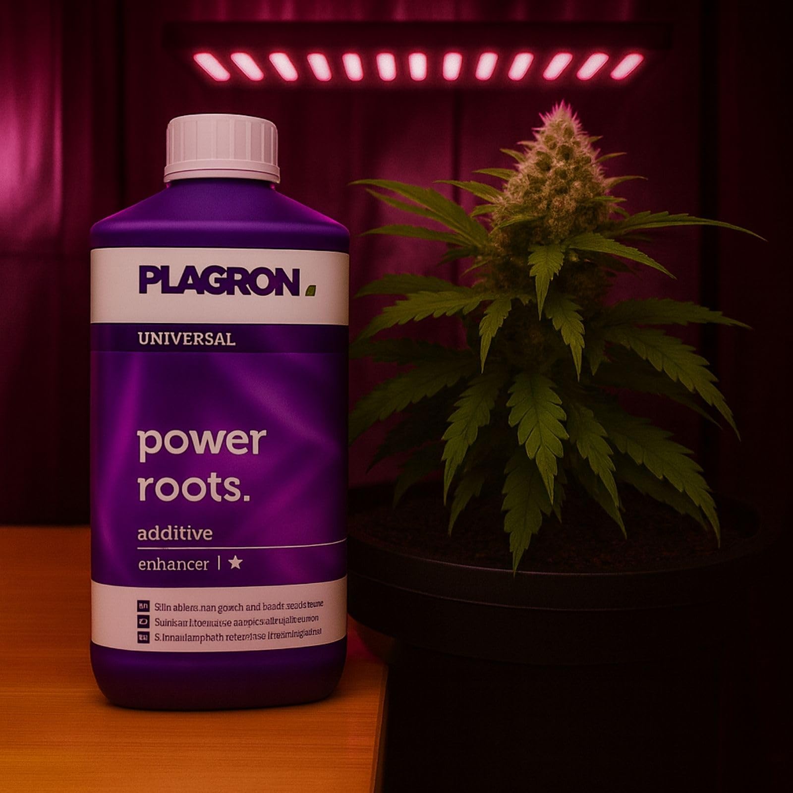 Weedness Plagron Power Roots 1 L – Engrais racinaire professionnel