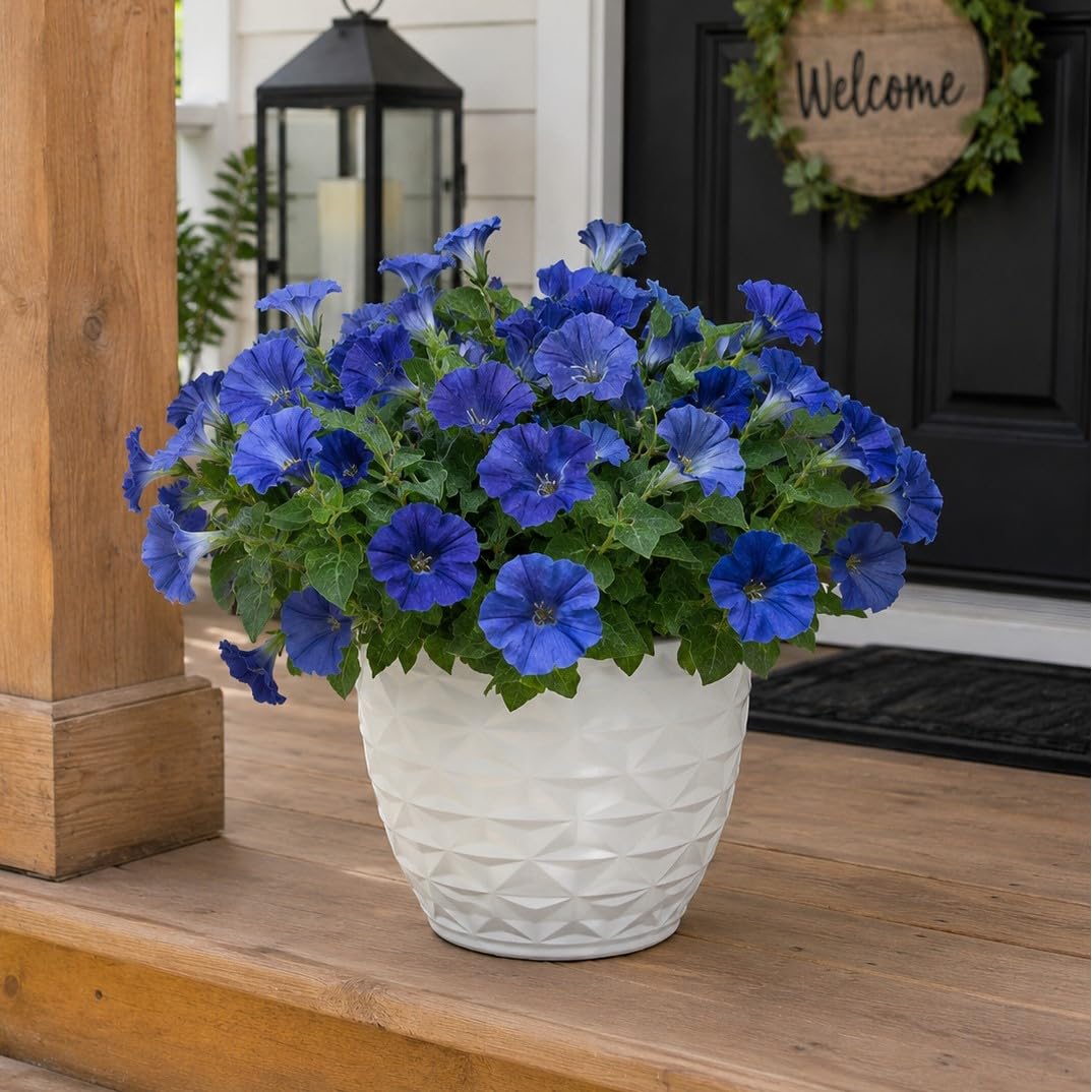Aisamco Artificial Flowers Plants for Outdoor and Indoor Decoration,6 Bundles Fake Silk Morning Glory Flower UV Resistant for Home Planter Porch Patio Yard Garden Balcony DΓ©cor (Blue)