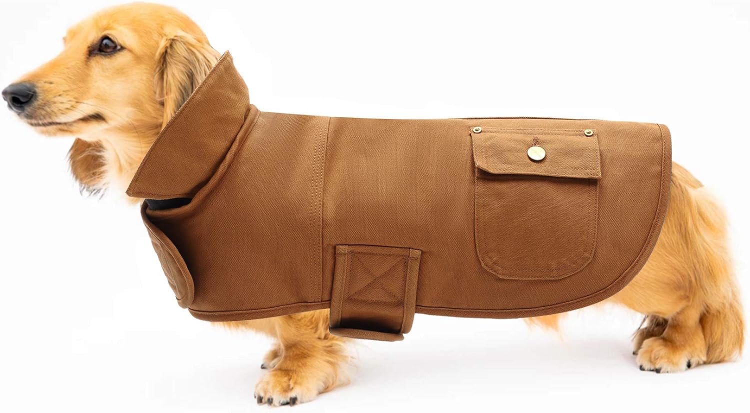 canvas dog coat